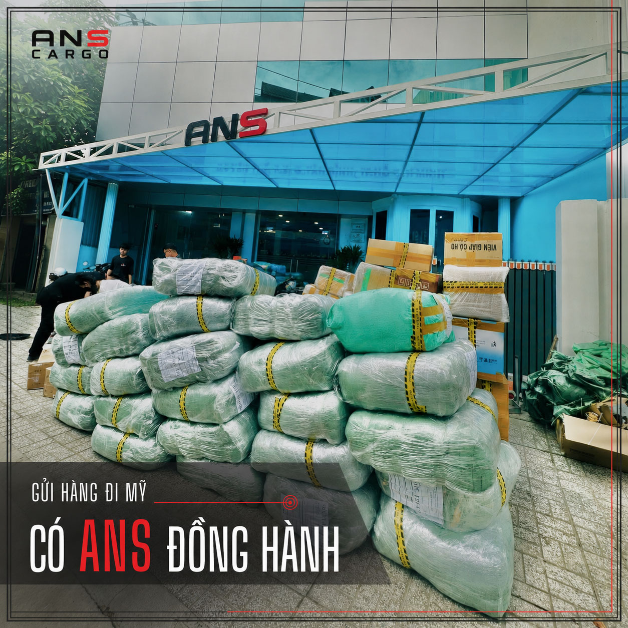 ANS Cargo