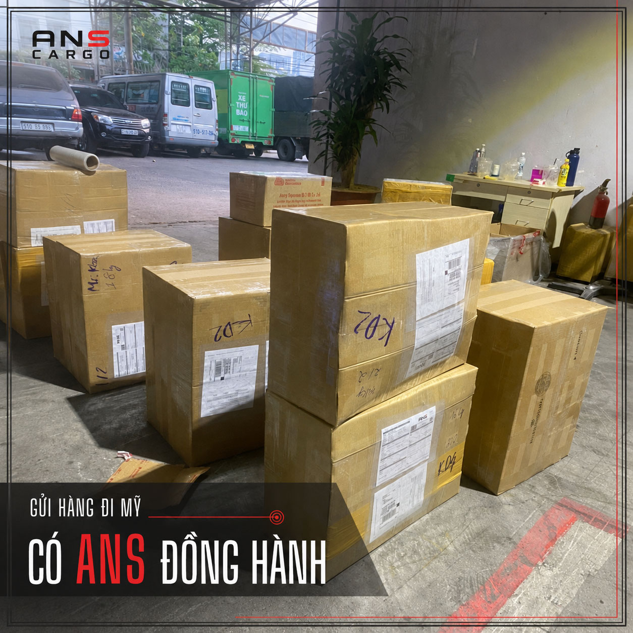 ANS Cargo